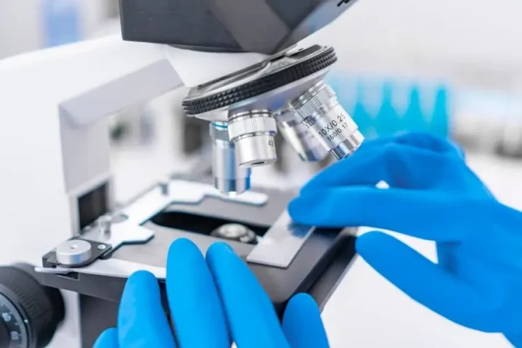 Histopathology Test in Multan 1